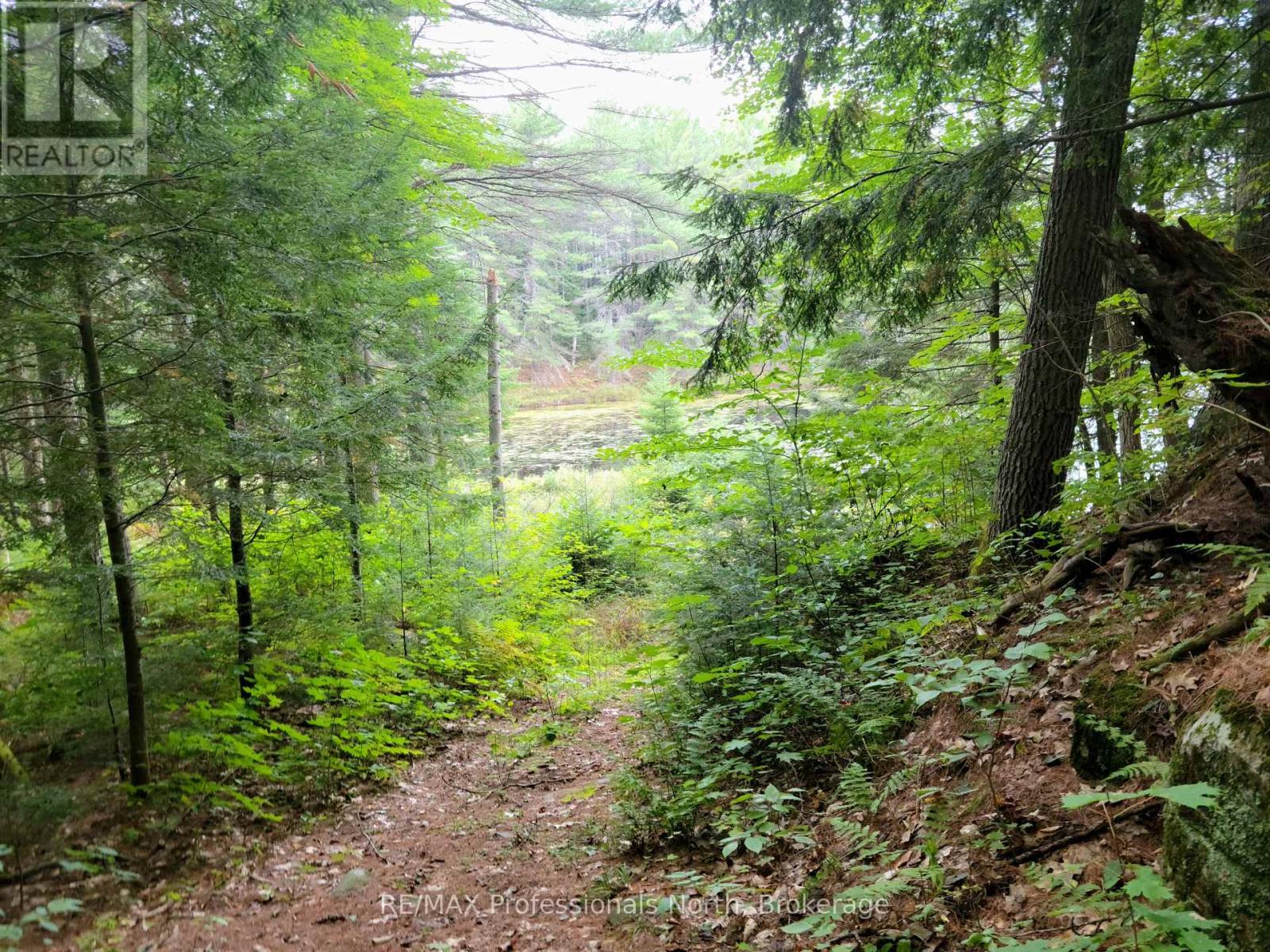 Lot 9 & 10 Concession 5, Lake Of Bays, Ontario  P0B 1A0 - Photo 25 - X12421805