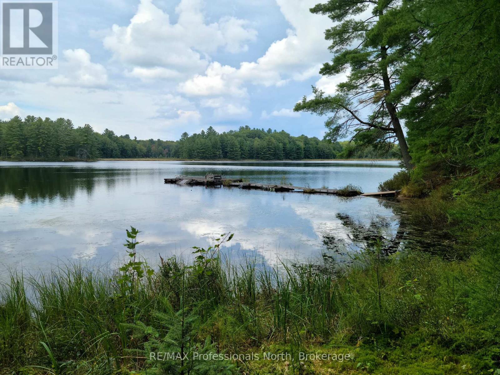 Lot 9 & 10 Concession 5, Lake Of Bays, Ontario  P0B 1A0 - Photo 26 - X12421805