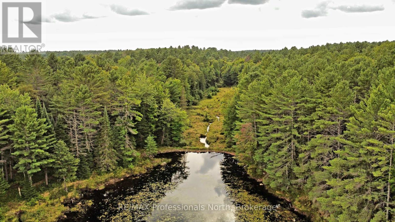 Lot 9 & 10 Concession 5, Lake Of Bays, Ontario  P0B 1A0 - Photo 28 - X12421805