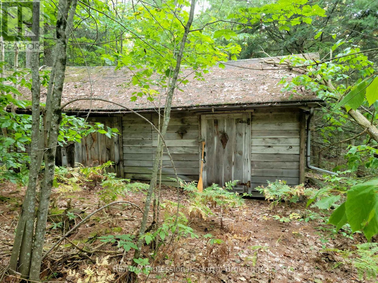 Lot 9 & 10 Concession 5, Lake Of Bays, Ontario  P0B 1A0 - Photo 3 - X12421805