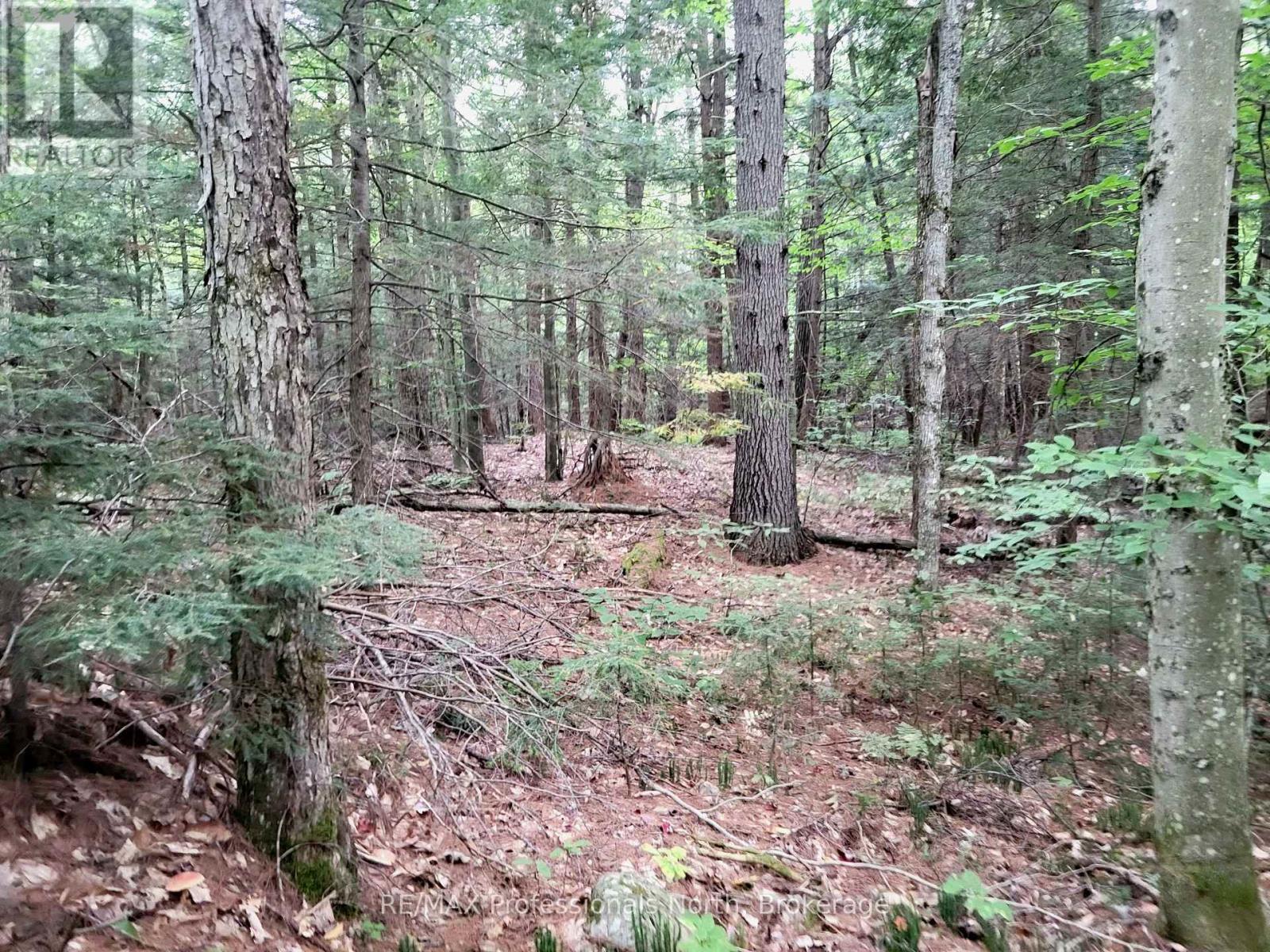 Lot 9 & 10 Concession 5, Lake Of Bays, Ontario  P0B 1A0 - Photo 30 - X12421805