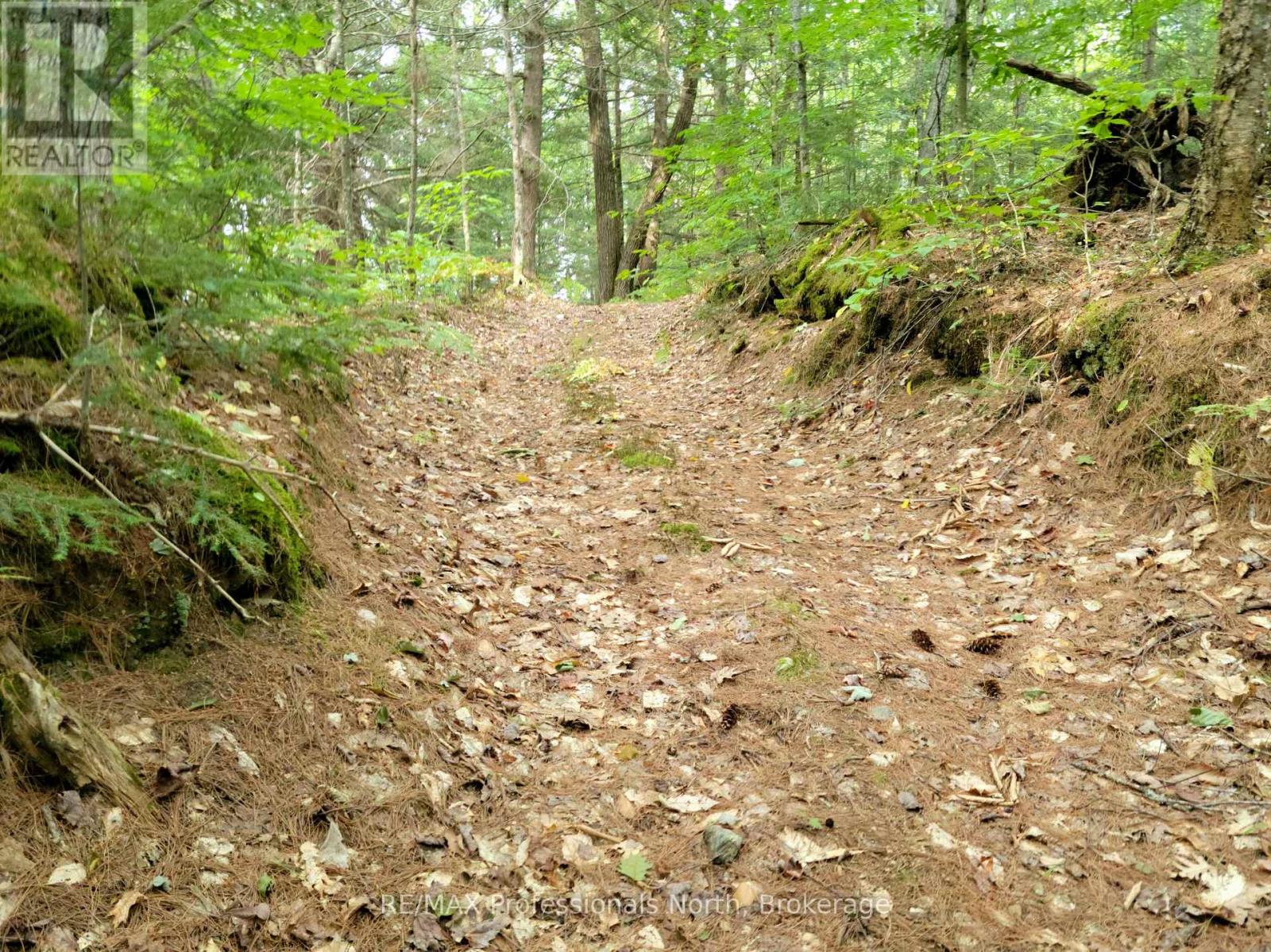 Lot 9 & 10 Concession 5, Lake Of Bays, Ontario  P0B 1A0 - Photo 31 - X12421805