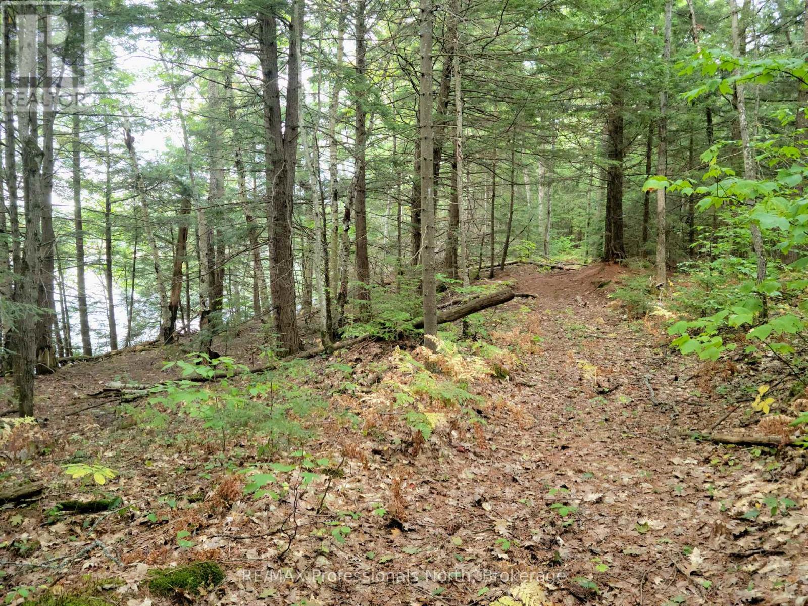 Lot 9 & 10 Concession 5, Lake Of Bays, Ontario  P0B 1A0 - Photo 32 - X12421805
