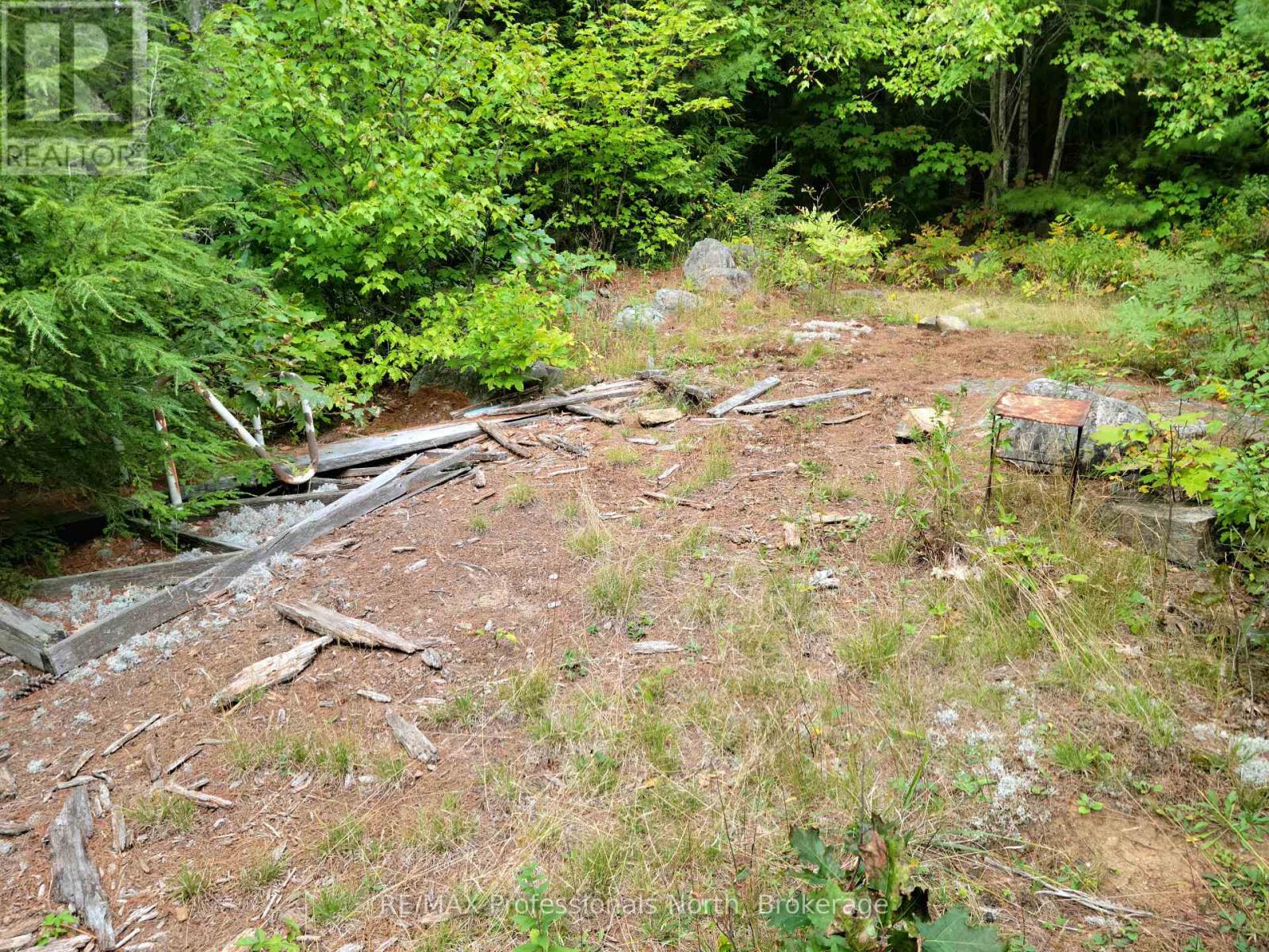 Lot 9 & 10 Concession 5, Lake Of Bays, Ontario  P0B 1A0 - Photo 33 - X12421805