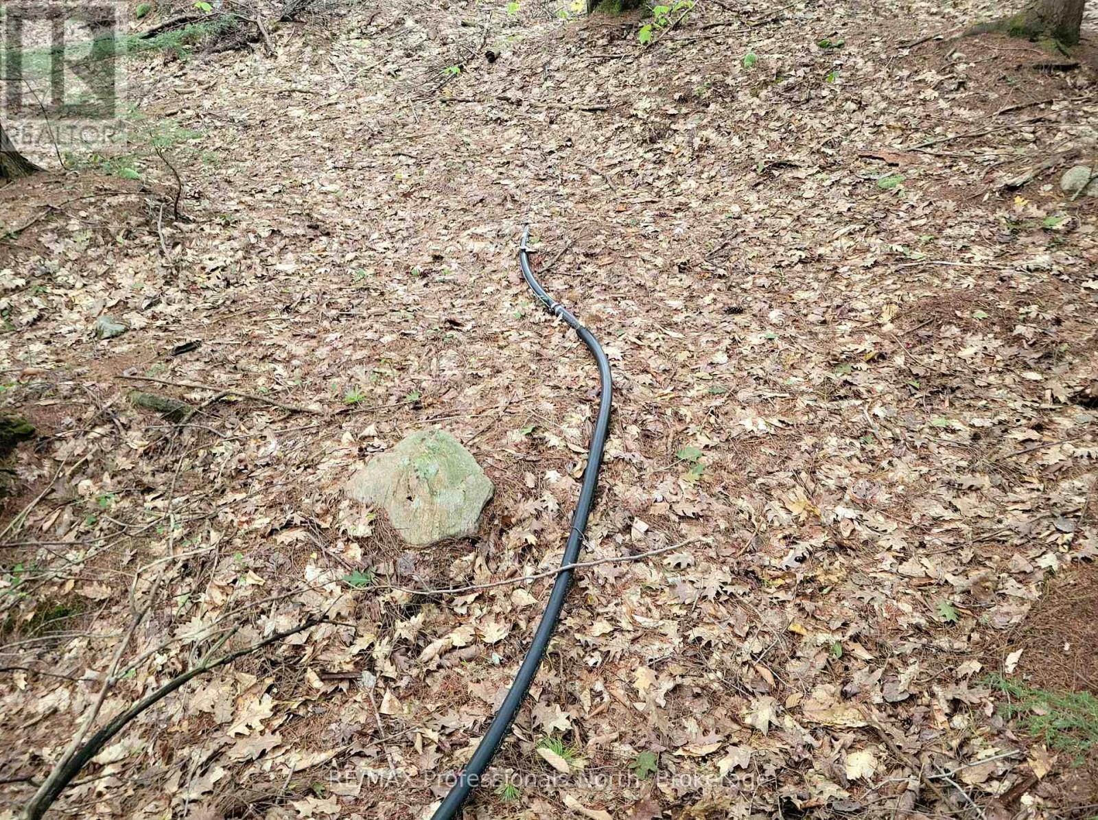 Lot 9 & 10 Concession 5, Lake Of Bays, Ontario  P0B 1A0 - Photo 35 - X12421805