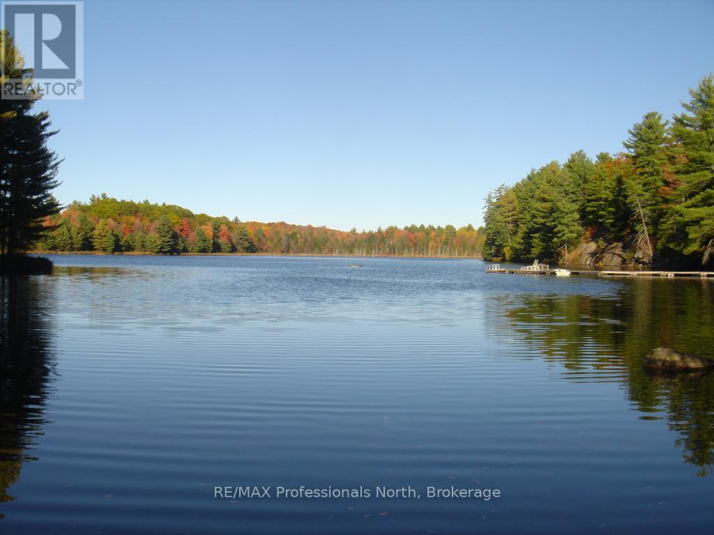 Lot 9 & 10 Concession 5, Lake Of Bays, Ontario  P0B 1A0 - Photo 39 - X12421805