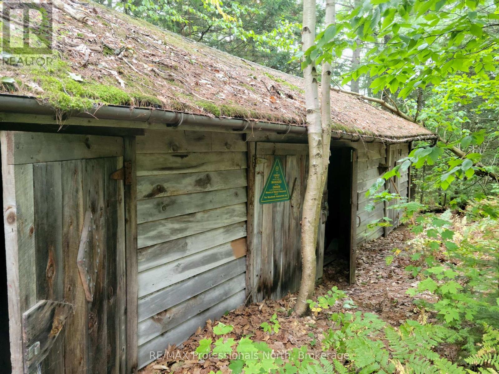 Lot 9 & 10 Concession 5, Lake Of Bays, Ontario  P0B 1A0 - Photo 4 - X12421805