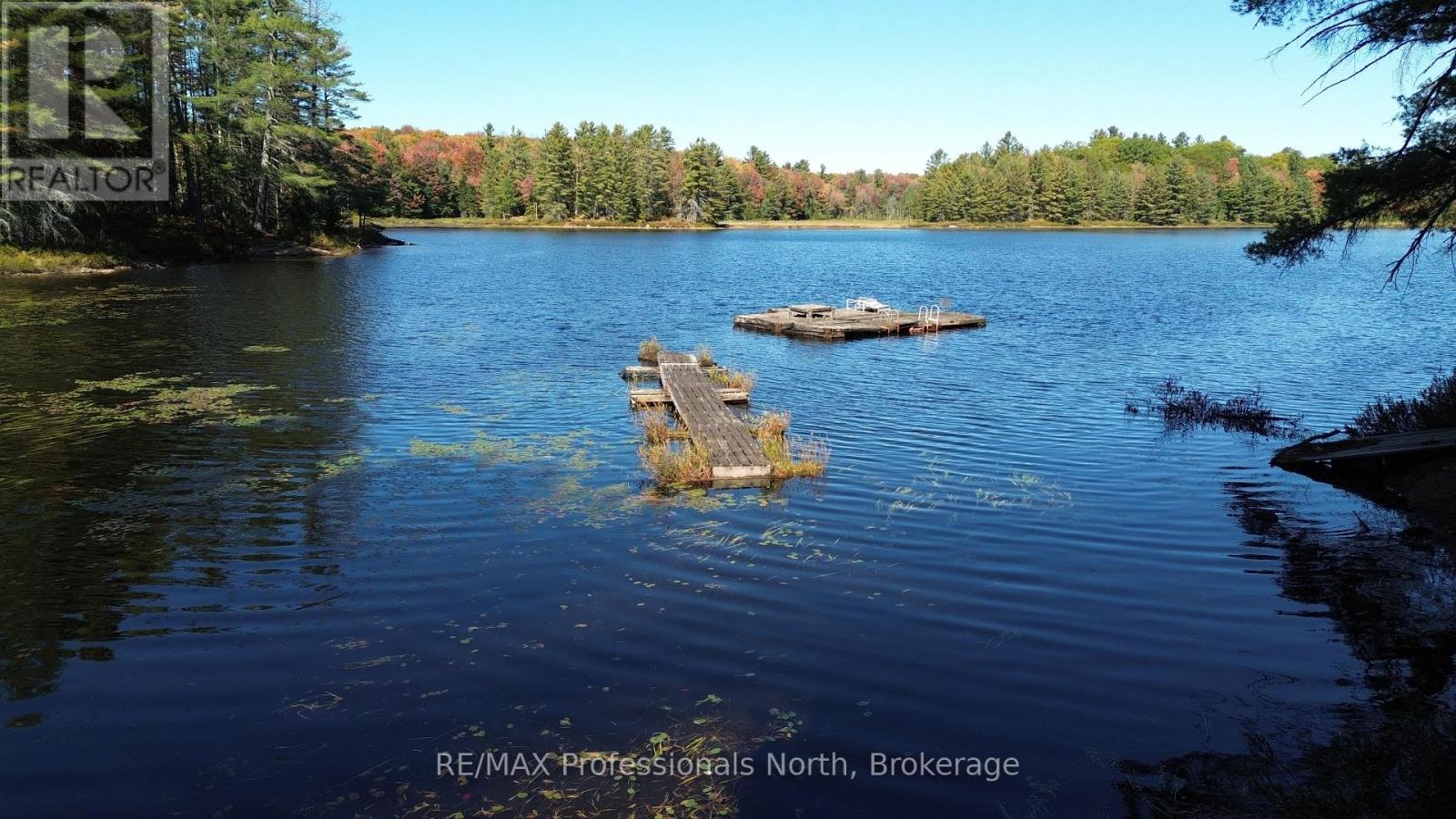 Lot 9 & 10 Concession 5, Lake Of Bays, Ontario  P0B 1A0 - Photo 40 - X12421805
