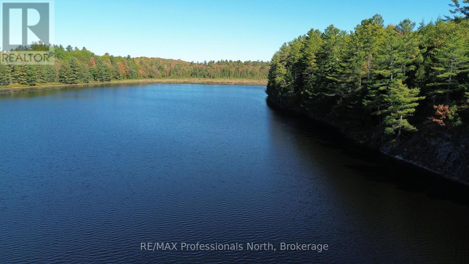 Lot 9 & 10 Concession 5, Lake Of Bays, Ontario  P0B 1A0 - Photo 42 - X12421805