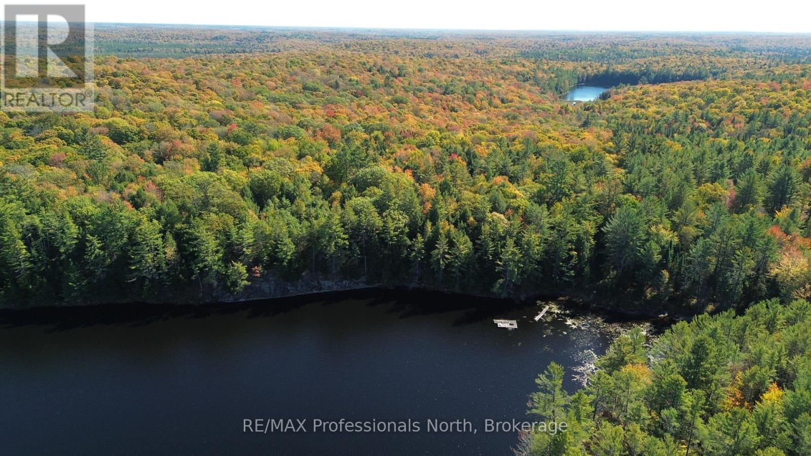 Lot 9 & 10 Concession 5, Lake Of Bays, Ontario  P0B 1A0 - Photo 43 - X12421805