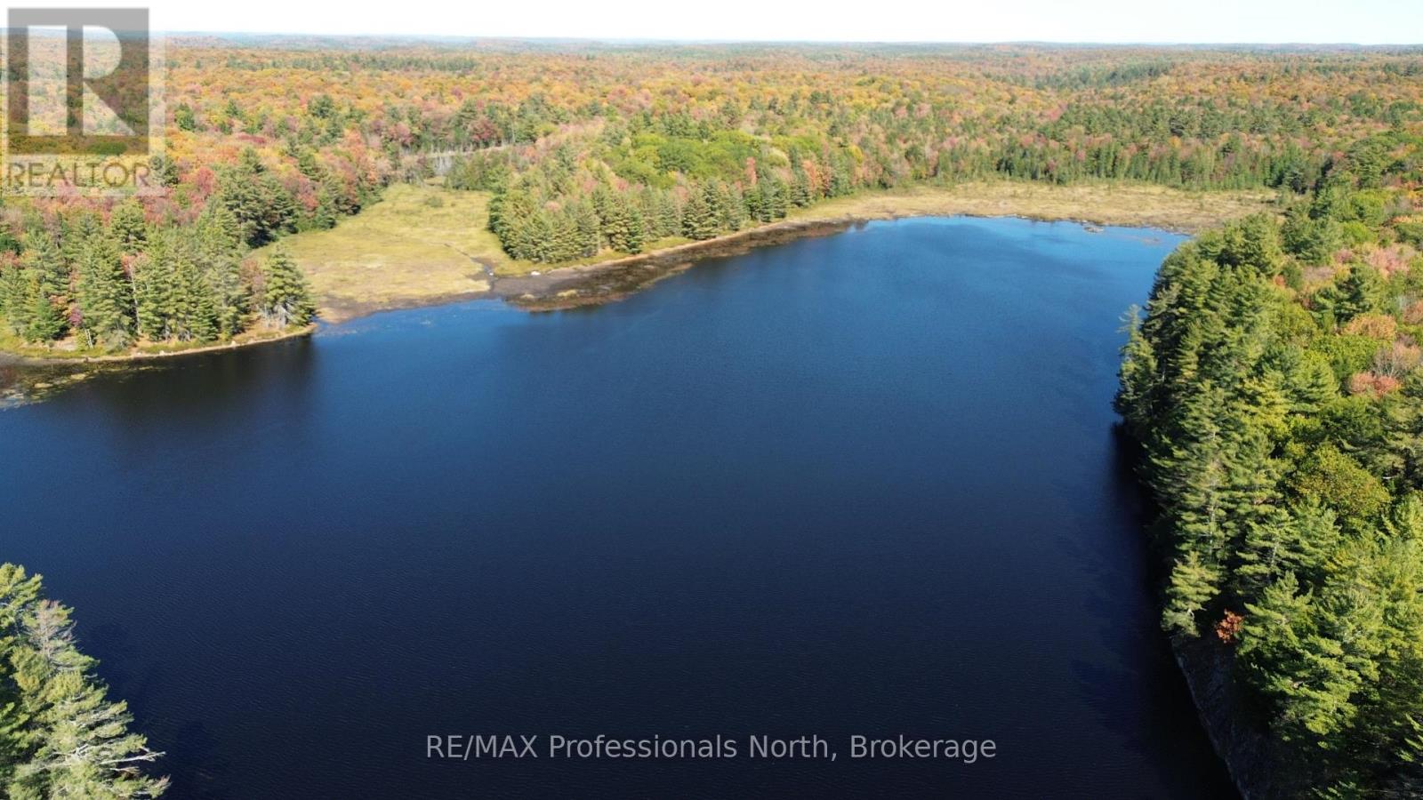 Lot 9 & 10 Concession 5, Lake Of Bays, Ontario  P0B 1A0 - Photo 45 - X12421805