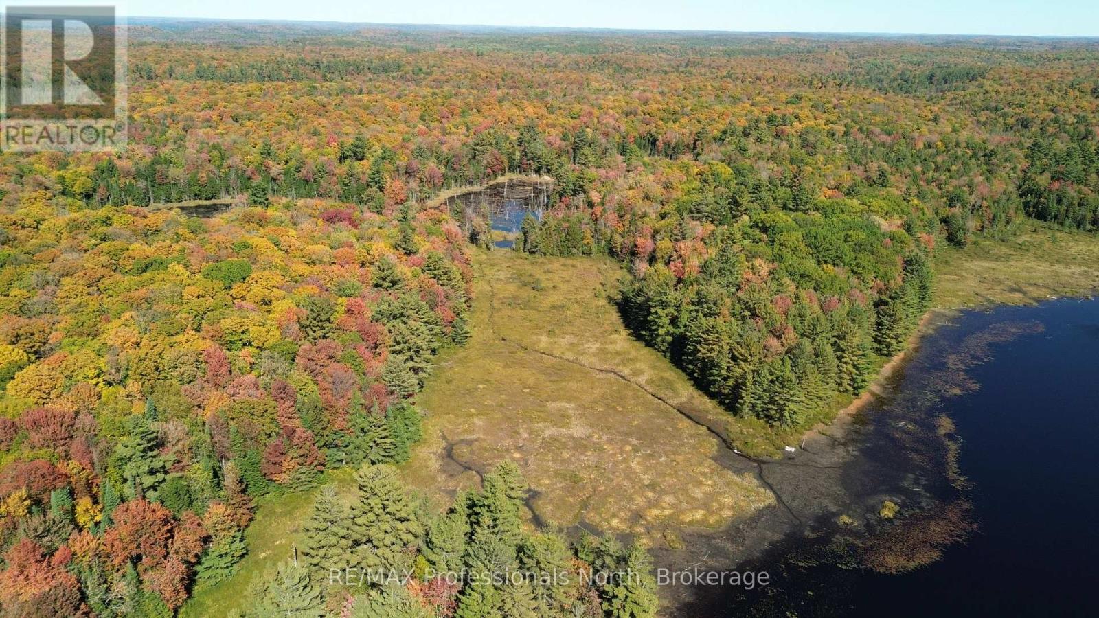 Lot 9 & 10 Concession 5, Lake Of Bays, Ontario  P0B 1A0 - Photo 46 - X12421805