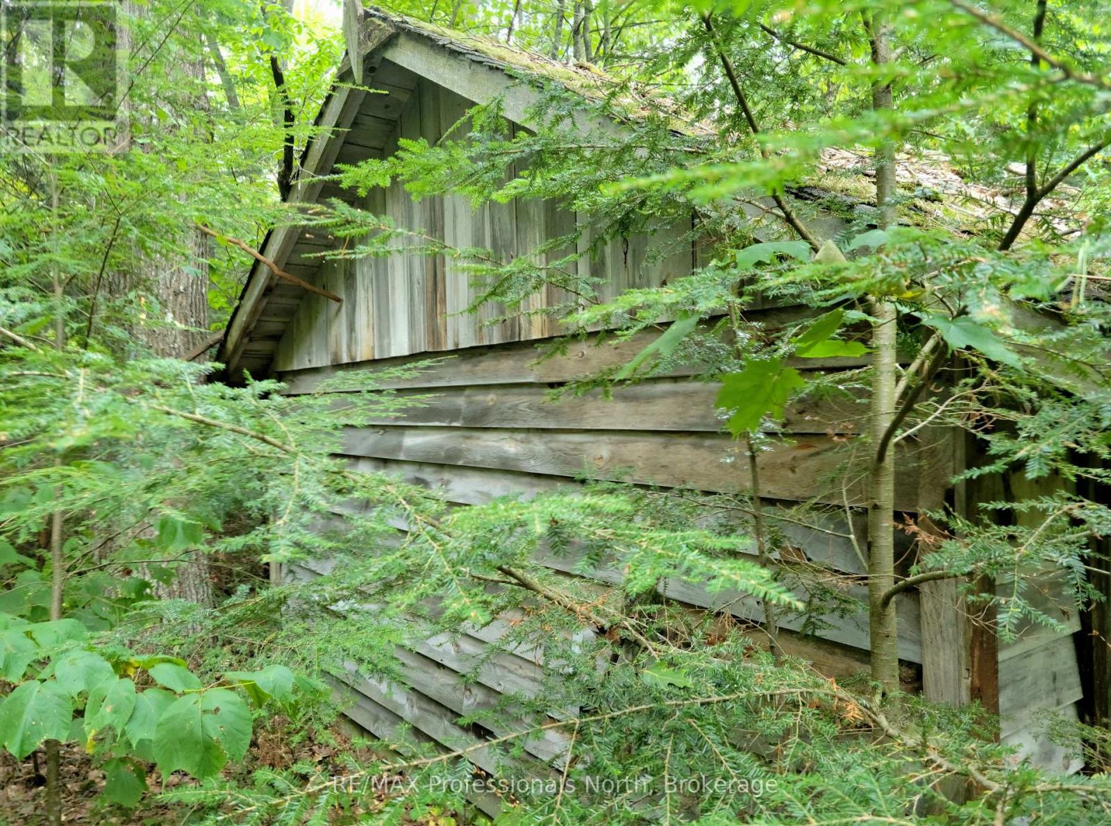 Lot 9 & 10 Concession 5, Lake Of Bays, Ontario  P0B 1A0 - Photo 5 - X12421805