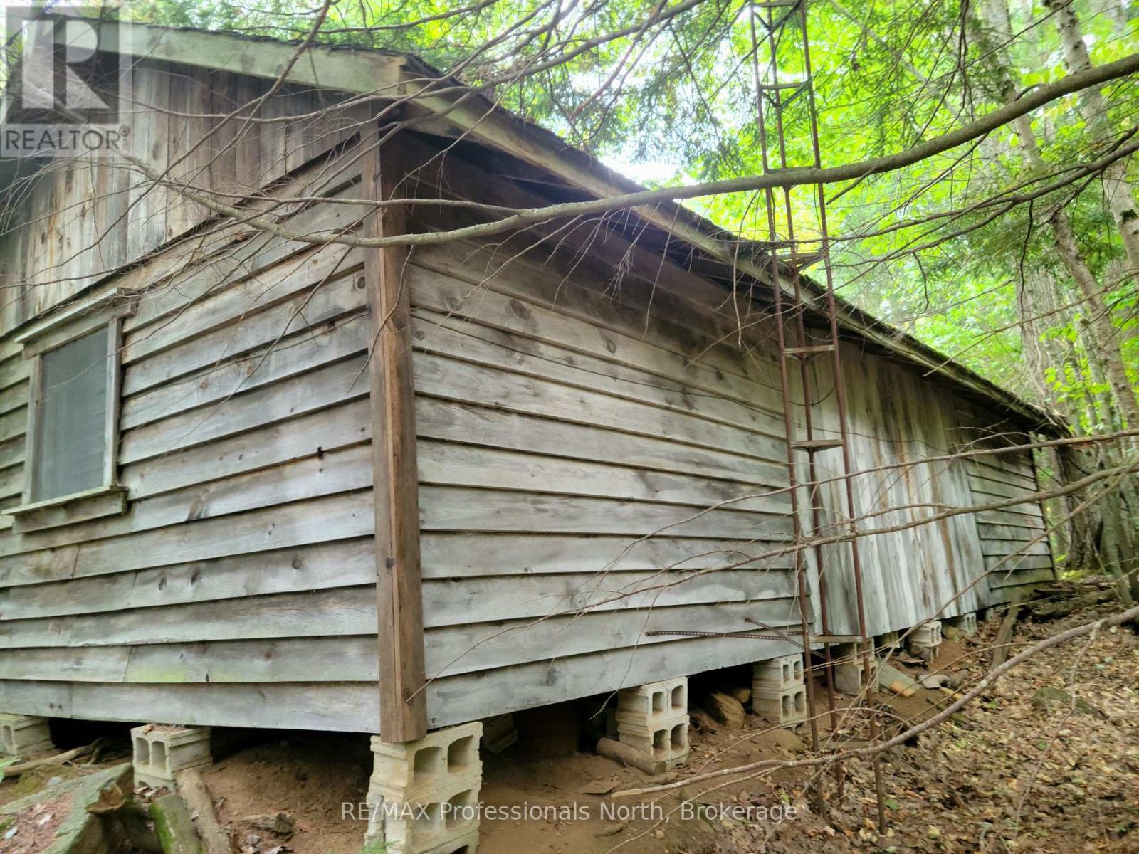 Lot 9 & 10 Concession 5, Lake Of Bays, Ontario  P0B 1A0 - Photo 6 - X12421805