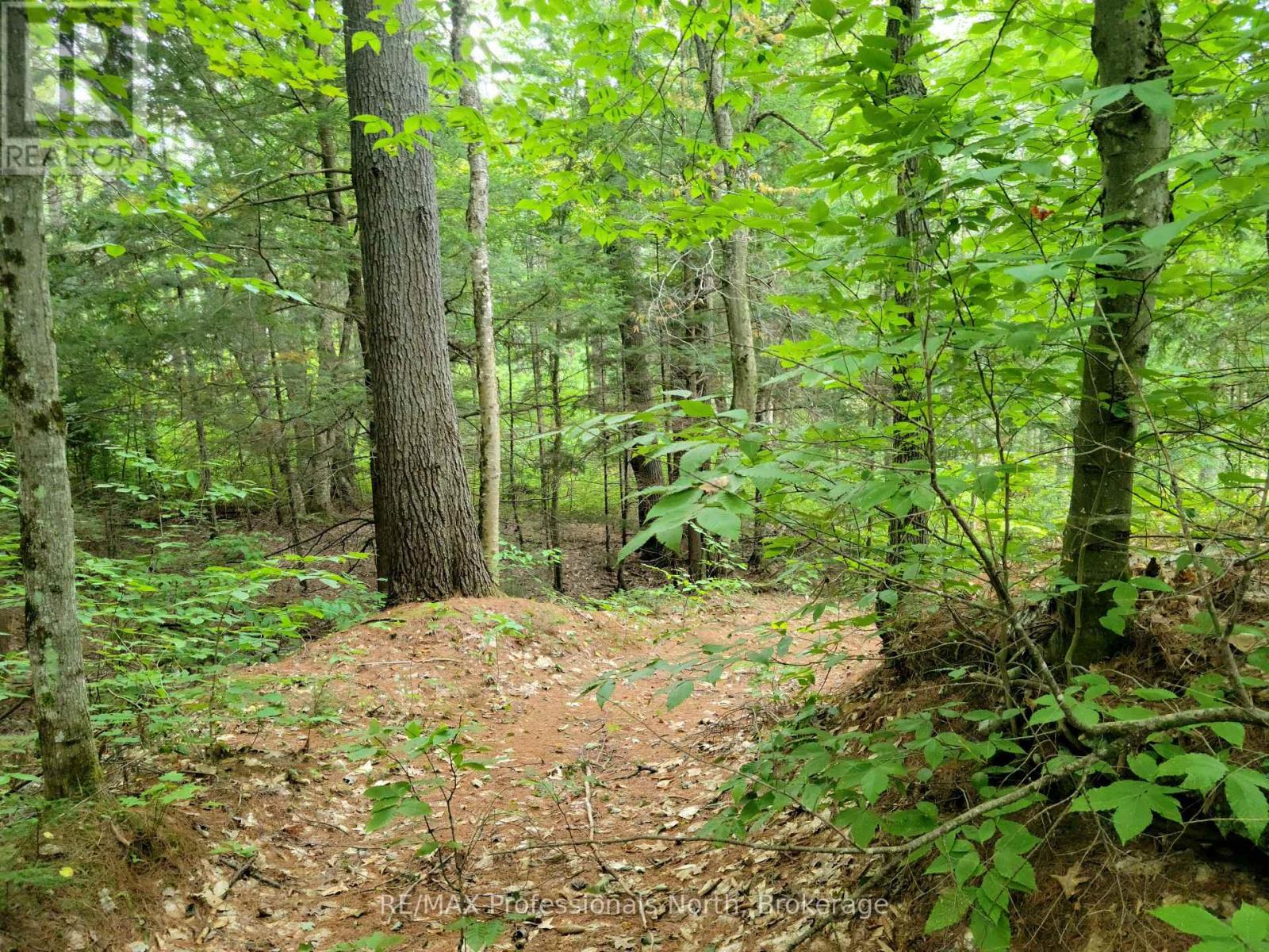 Lot 9 & 10 Concession 5, Lake Of Bays, Ontario  P0B 1A0 - Photo 7 - X12421805