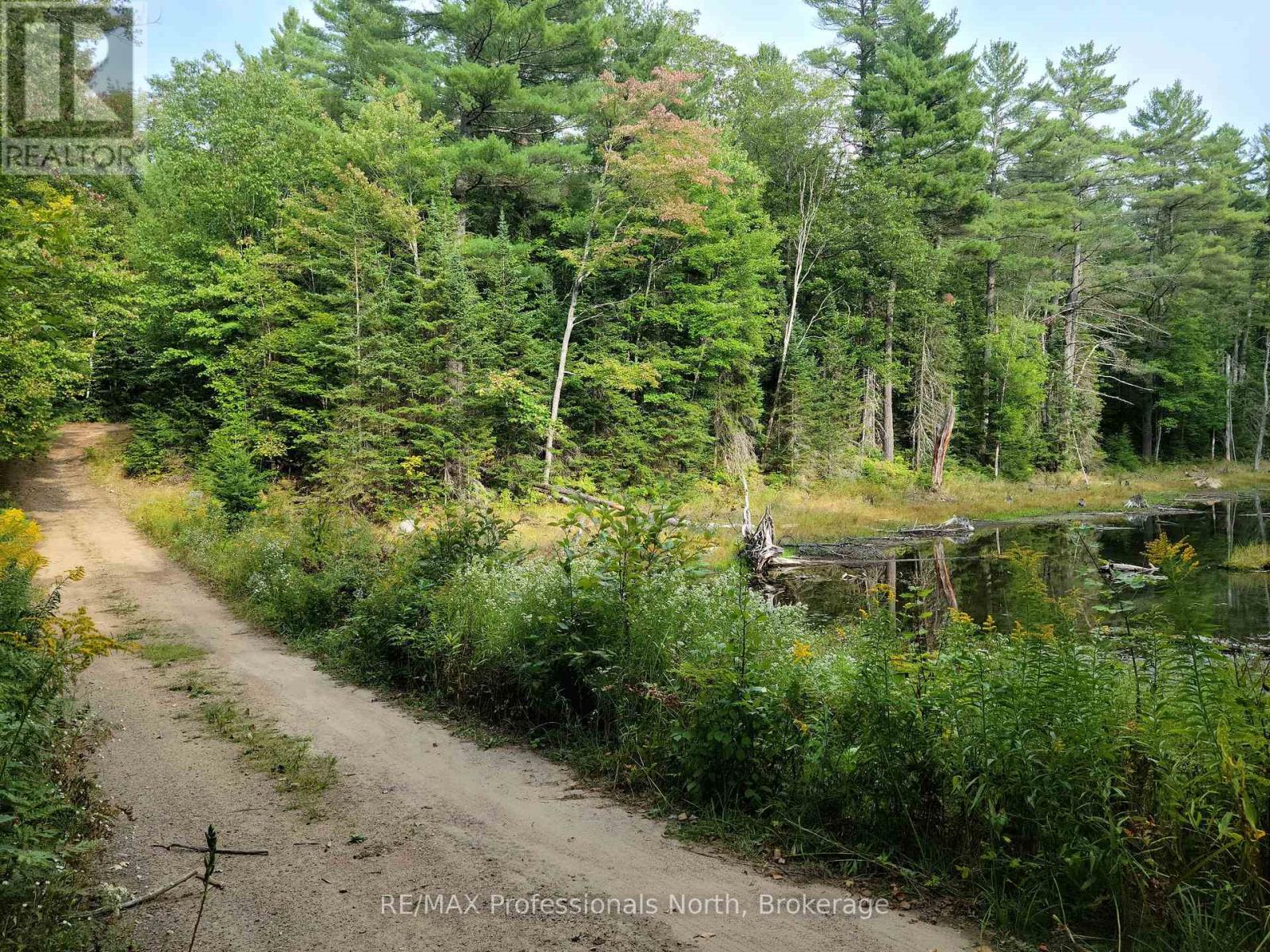 Lot 9 & 10 Concession 5, Lake Of Bays, Ontario  P0B 1A0 - Photo 9 - X12421805
