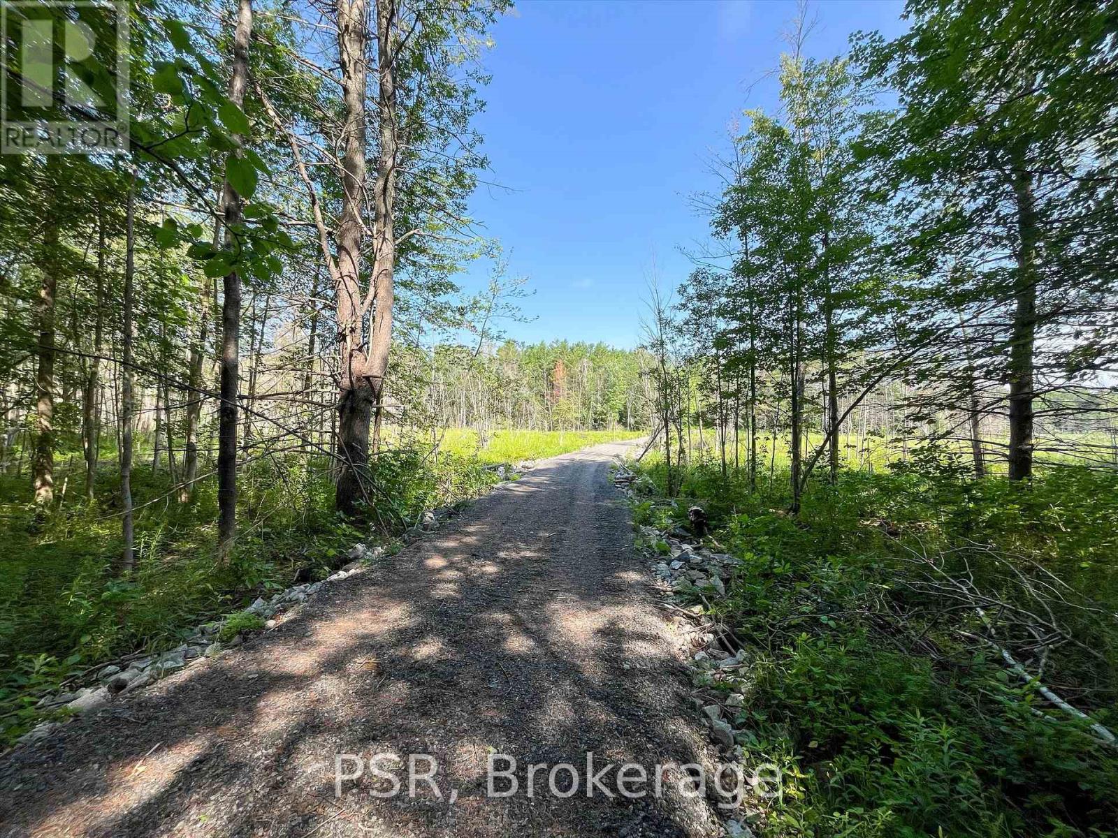 1465 Canning Road, Gravenhurst, Ontario  P0E 1N0 - Photo 10 - X12421884