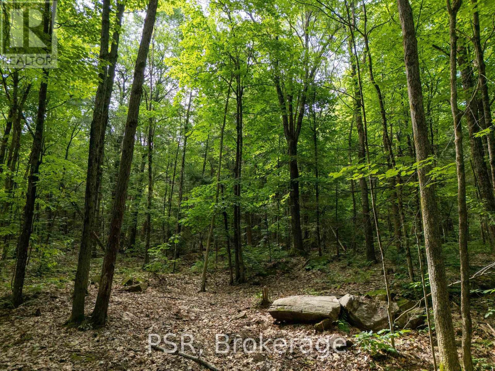 1465 Canning Road, Gravenhurst, Ontario  P0E 1N0 - Photo 16 - X12421884