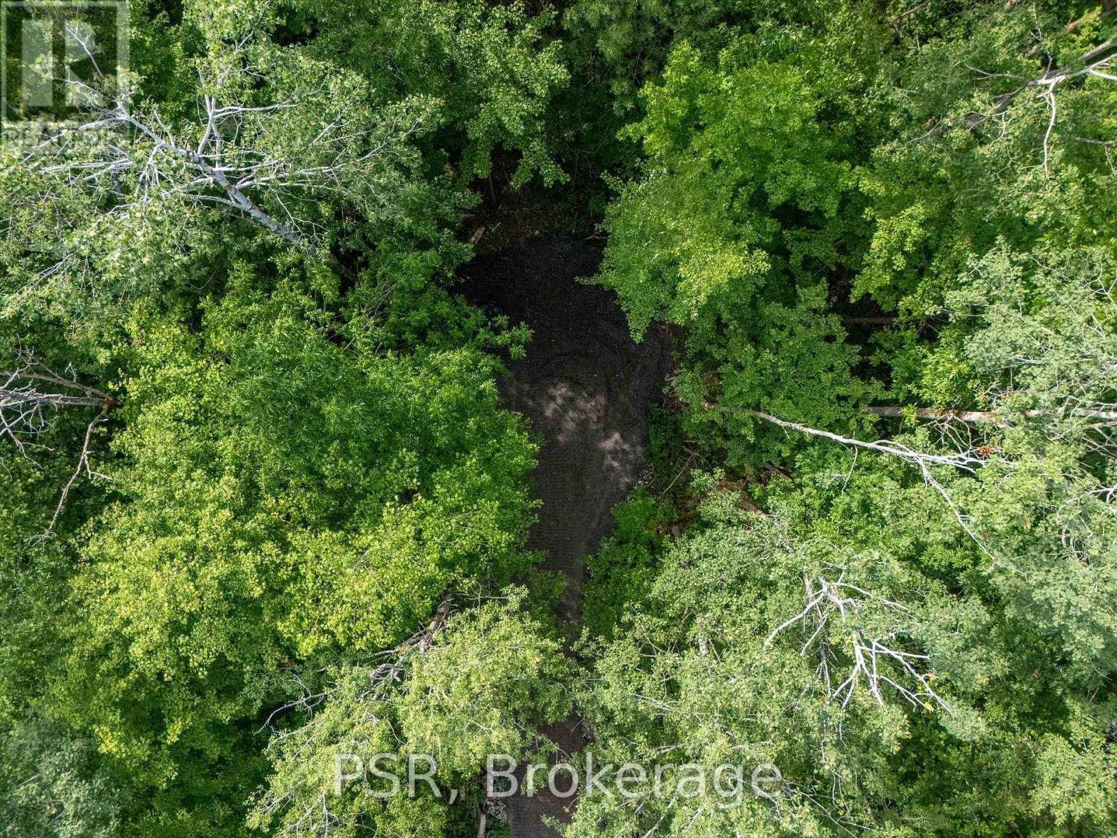 1465 Canning Road, Gravenhurst, Ontario  P0E 1N0 - Photo 19 - X12421884