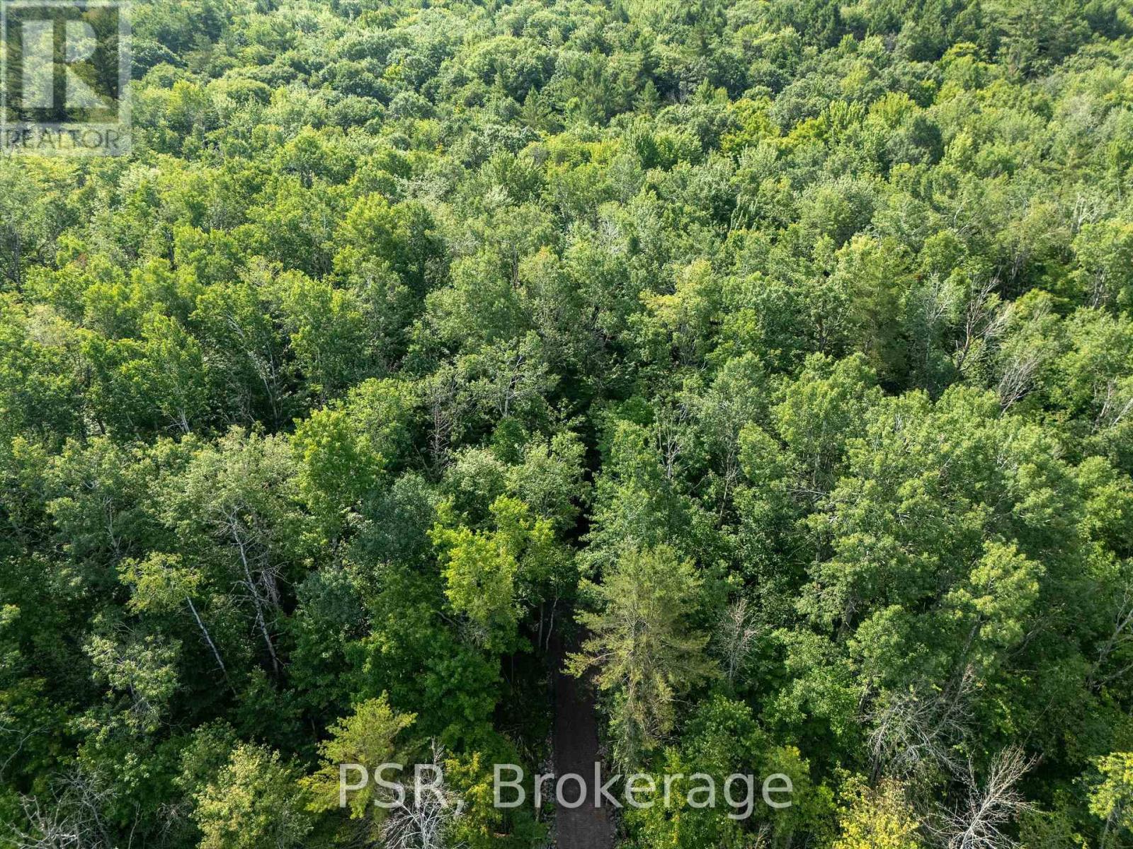 1465 Canning Road, Gravenhurst, Ontario  P0E 1N0 - Photo 20 - X12421884