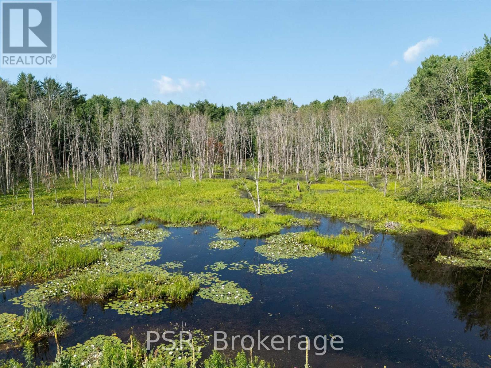 1465 Canning Road, Gravenhurst, Ontario  P0E 1N0 - Photo 21 - X12421884