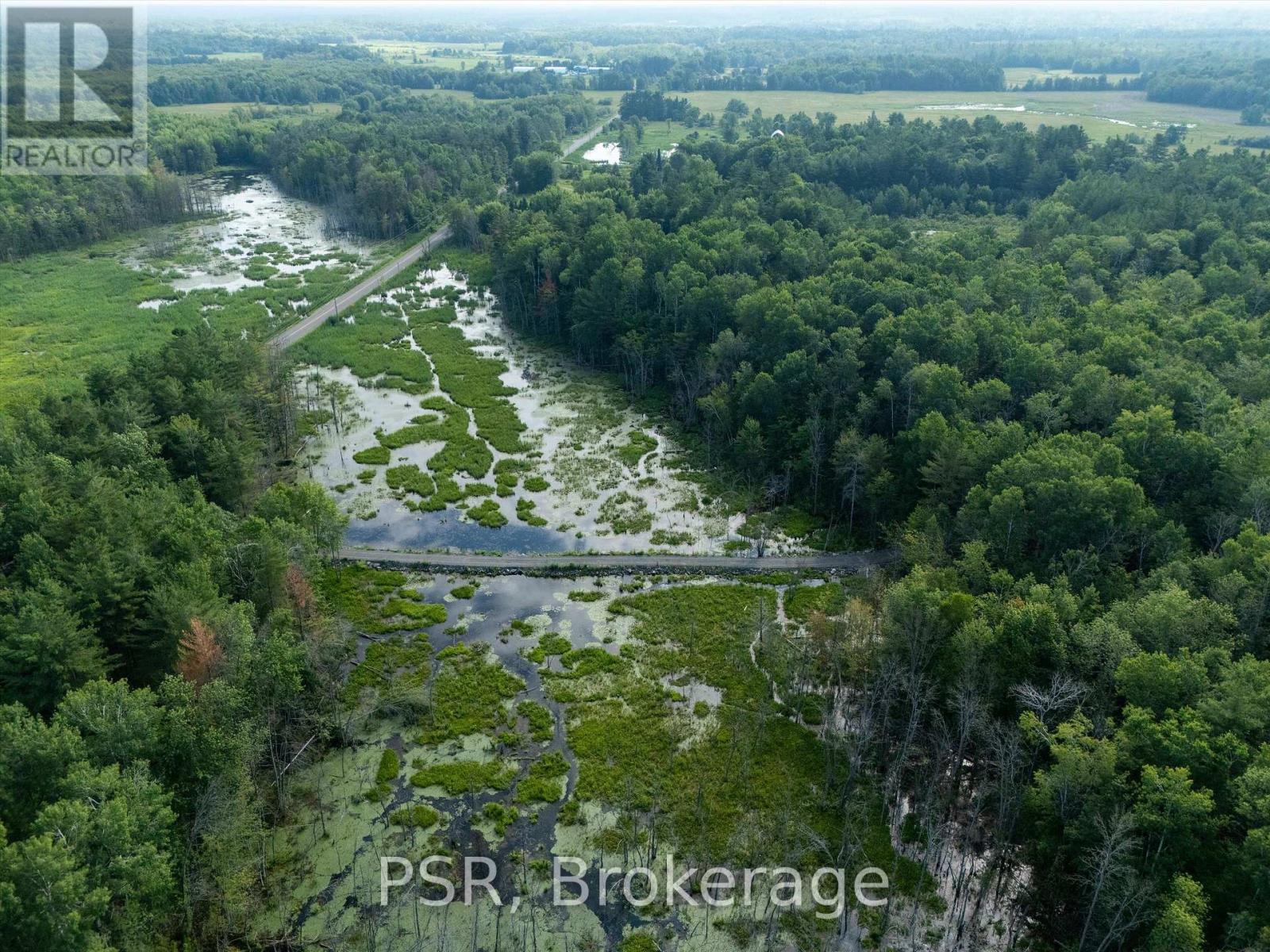 1465 Canning Road, Gravenhurst, Ontario  P0E 1N0 - Photo 22 - X12421884