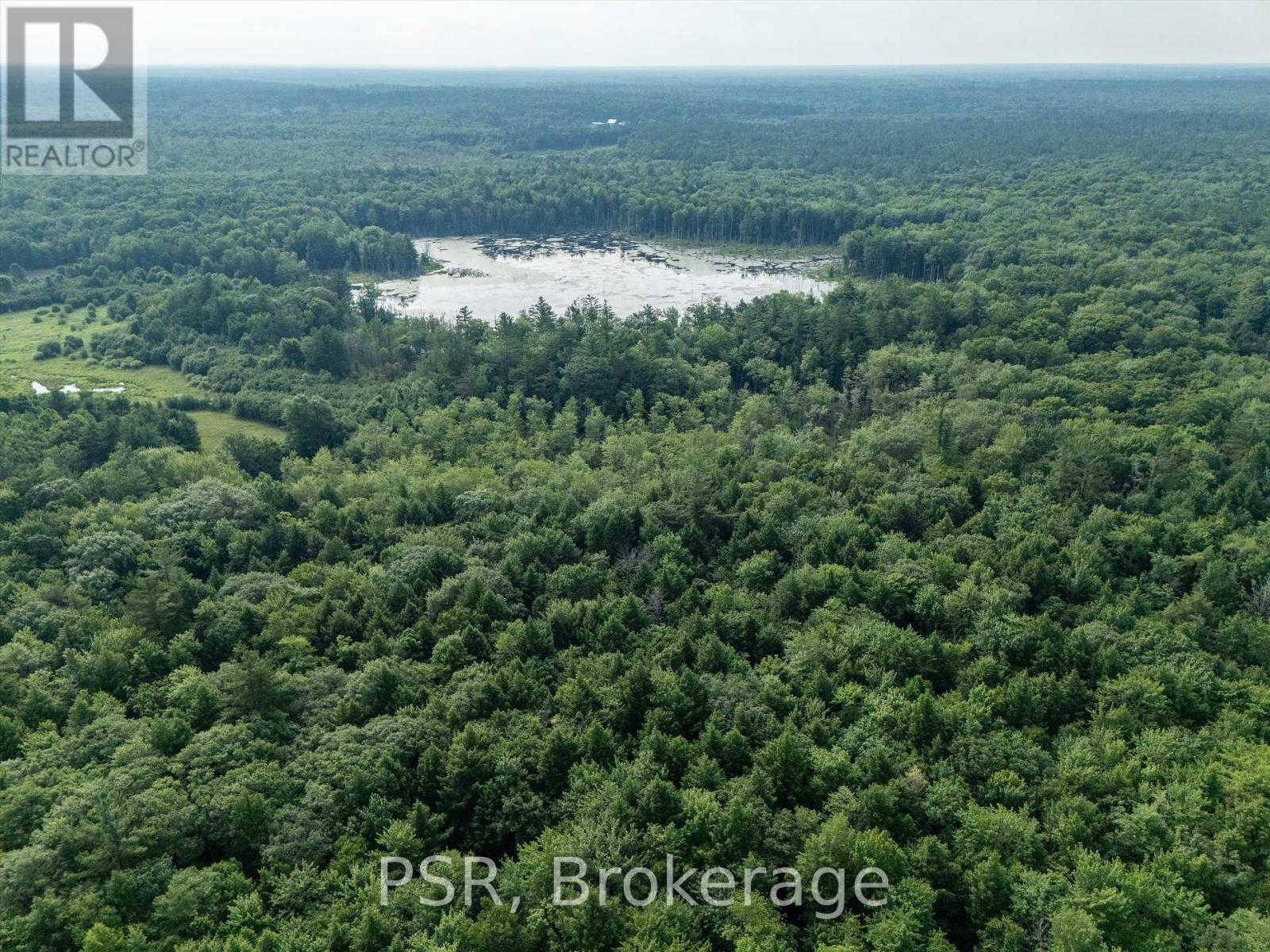 1465 Canning Road, Gravenhurst, Ontario  P0E 1N0 - Photo 24 - X12421884