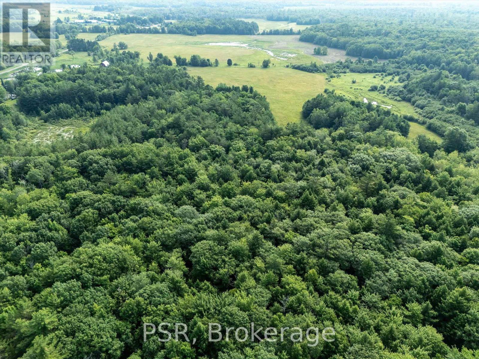 1465 Canning Road, Gravenhurst, Ontario  P0E 1N0 - Photo 26 - X12421884