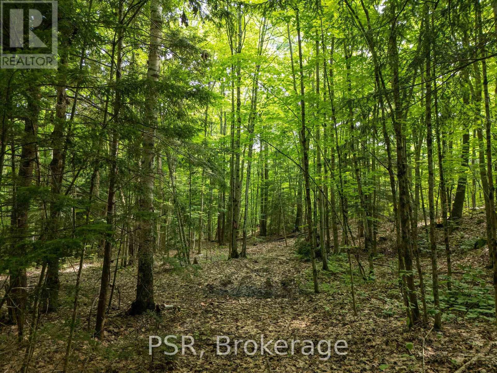 1465 Canning Road, Gravenhurst, Ontario  P0E 1N0 - Photo 27 - X12421884