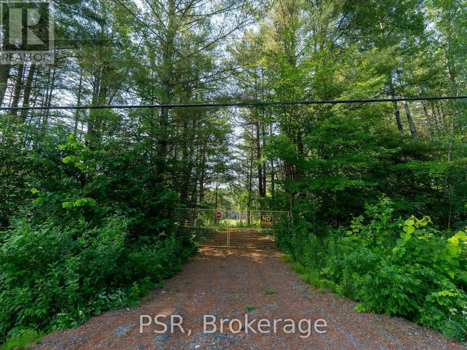 1465 Canning Road, Gravenhurst, Ontario  P0E 1N0 - Photo 5 - X12421884