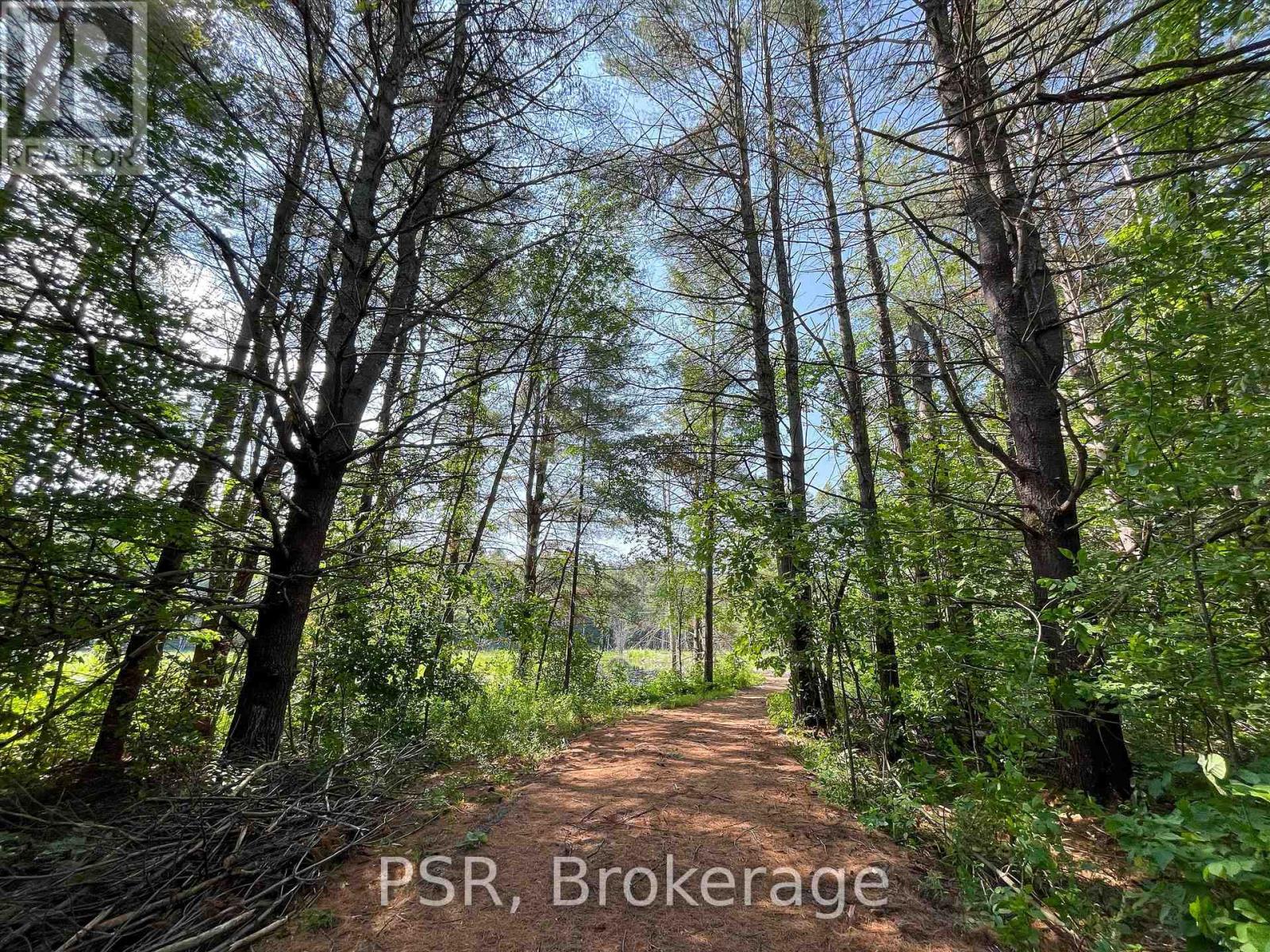 1465 Canning Road, Gravenhurst, Ontario  P0E 1N0 - Photo 6 - X12421884