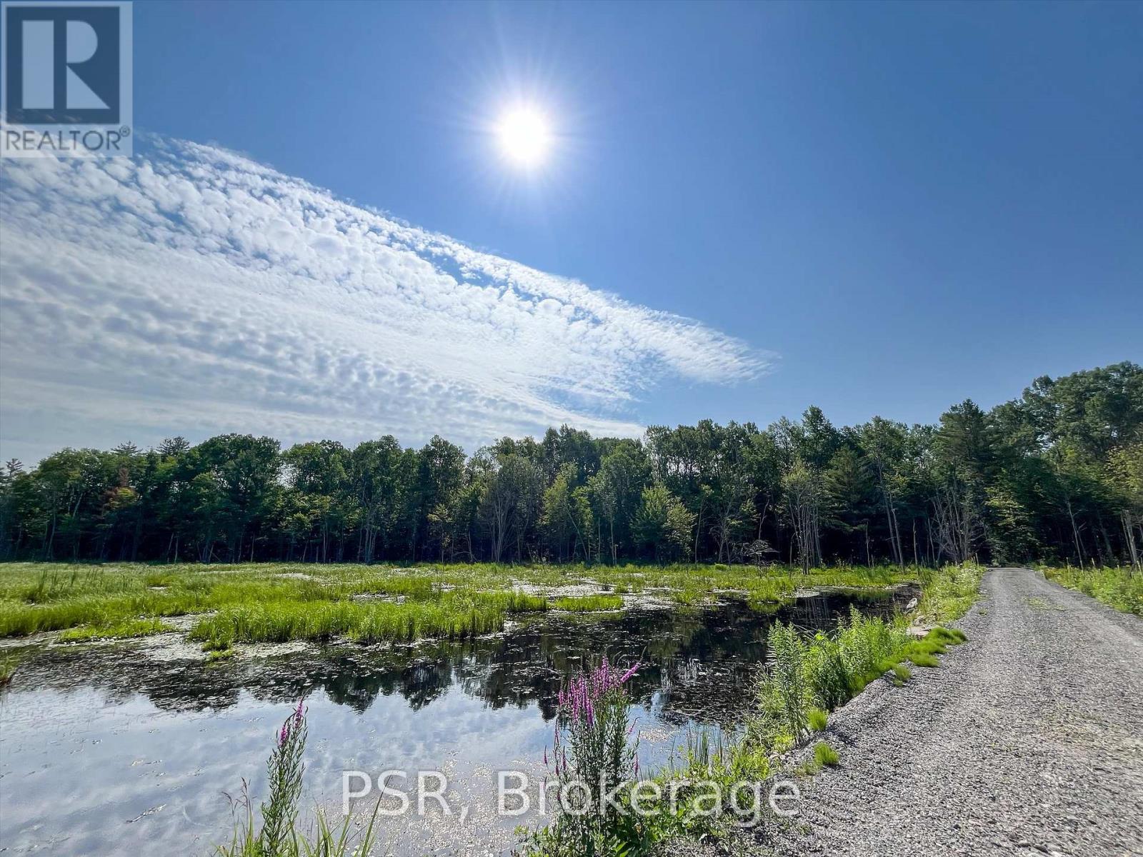 1465 Canning Road, Gravenhurst, Ontario  P0E 1N0 - Photo 8 - X12421884