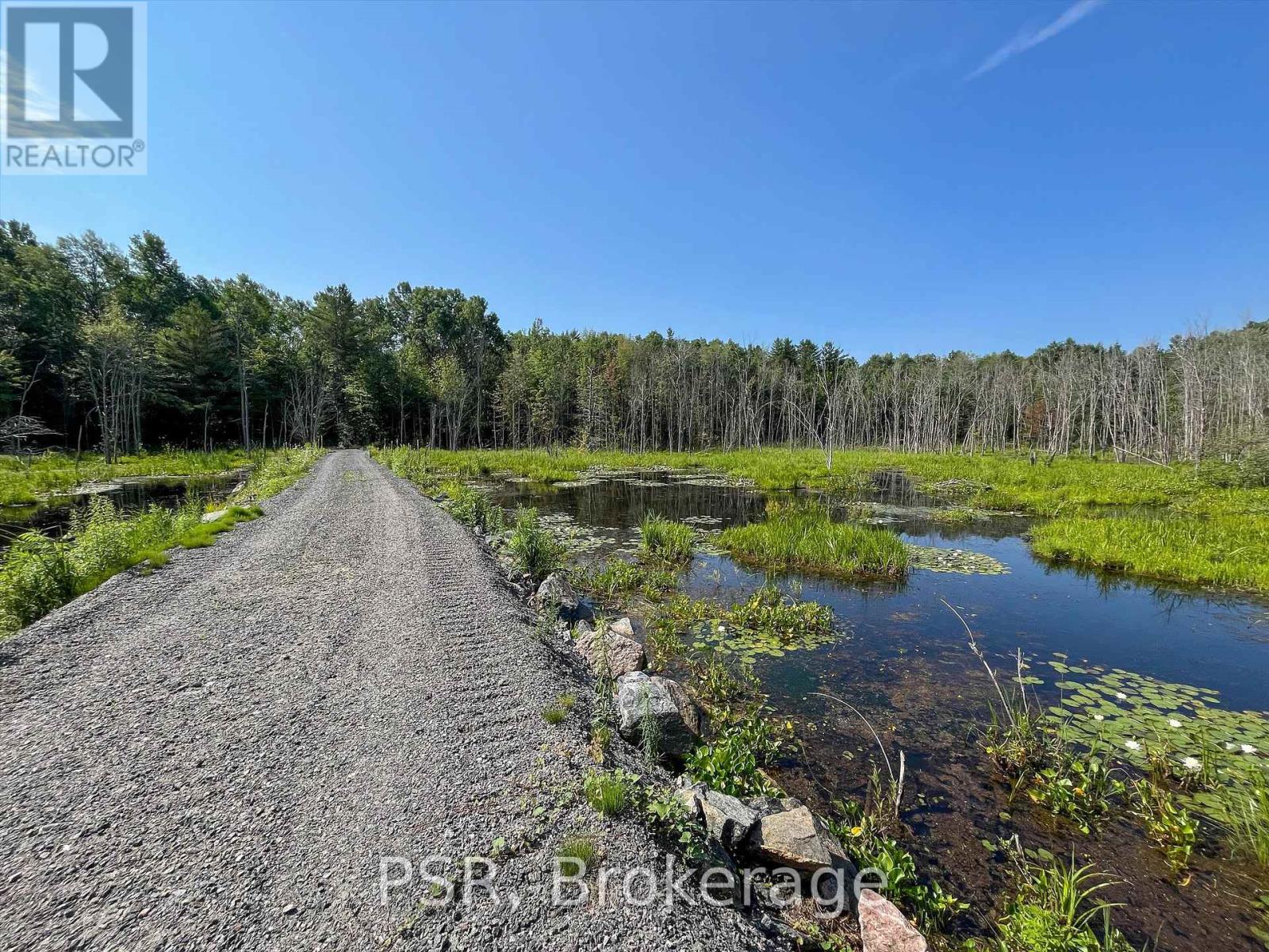 1465 Canning Road, Gravenhurst, Ontario  P0E 1N0 - Photo 9 - X12421884