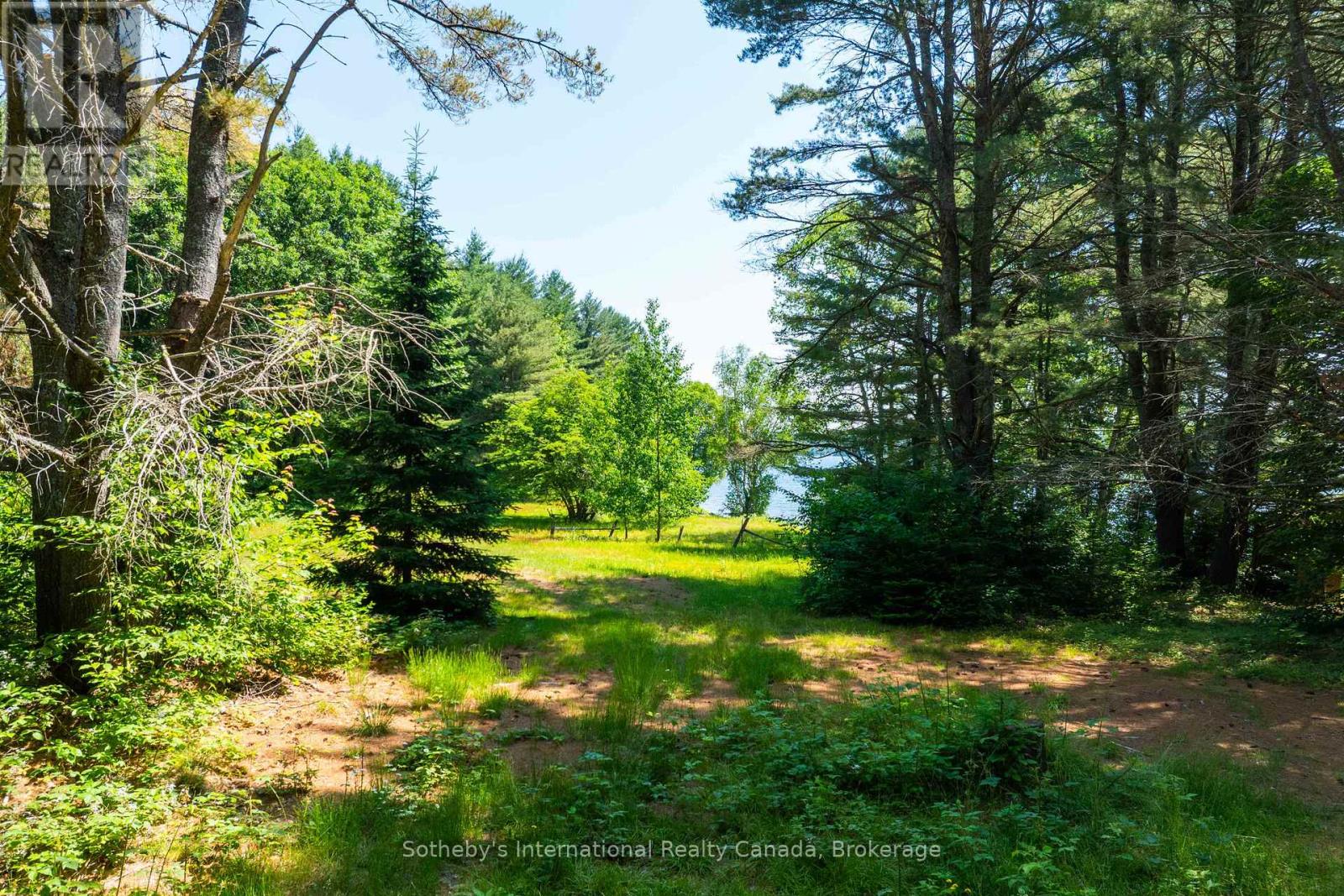 2447 South Portage Road, Lake Of Bays, Ontario  L8H 6Z4 - Photo 29 - X12423460