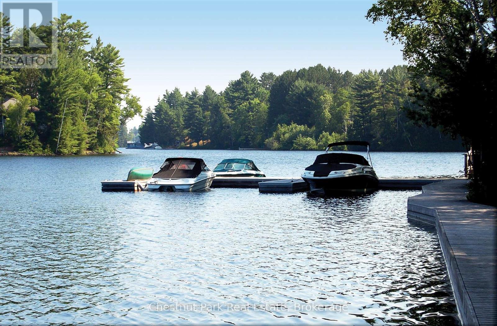 1020 Birch Glen Road, Lake Of Bays, Ontario  P0B 1A0 - Photo 10 - X12426578