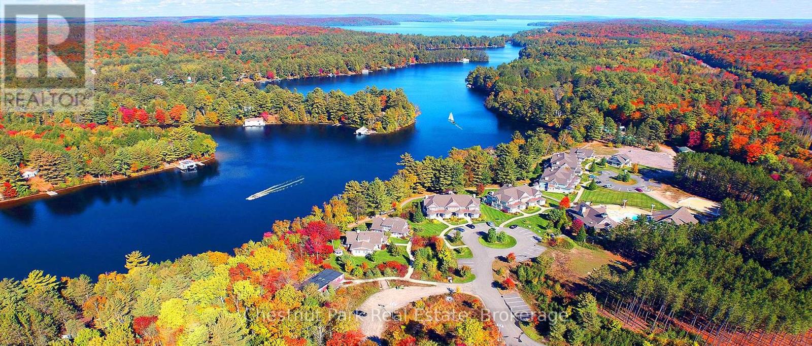 1020 Birch Glen Road, Lake Of Bays, Ontario  P0B 1A0 - Photo 2 - X12426578