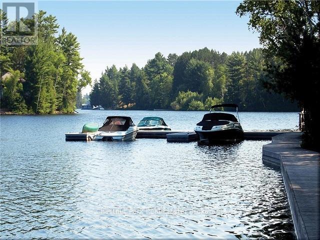 1020 Birch Glen Road, Lake Of Bays, Ontario  P0B 1A0 - Photo 10 - X12426581