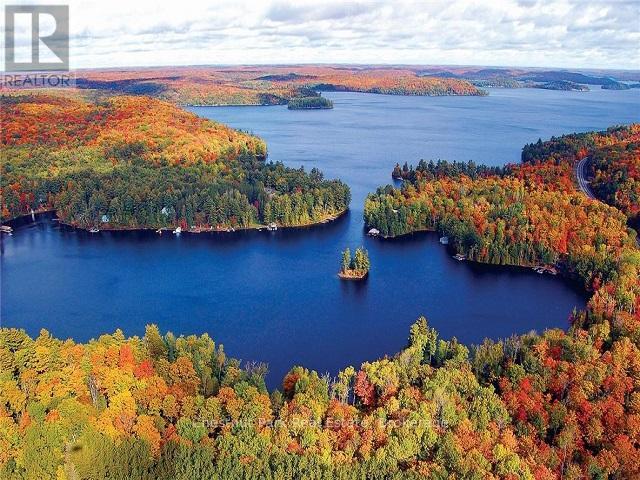 1020 Birch Glen Road, Lake Of Bays, Ontario  P0B 1A0 - Photo 3 - X12426581