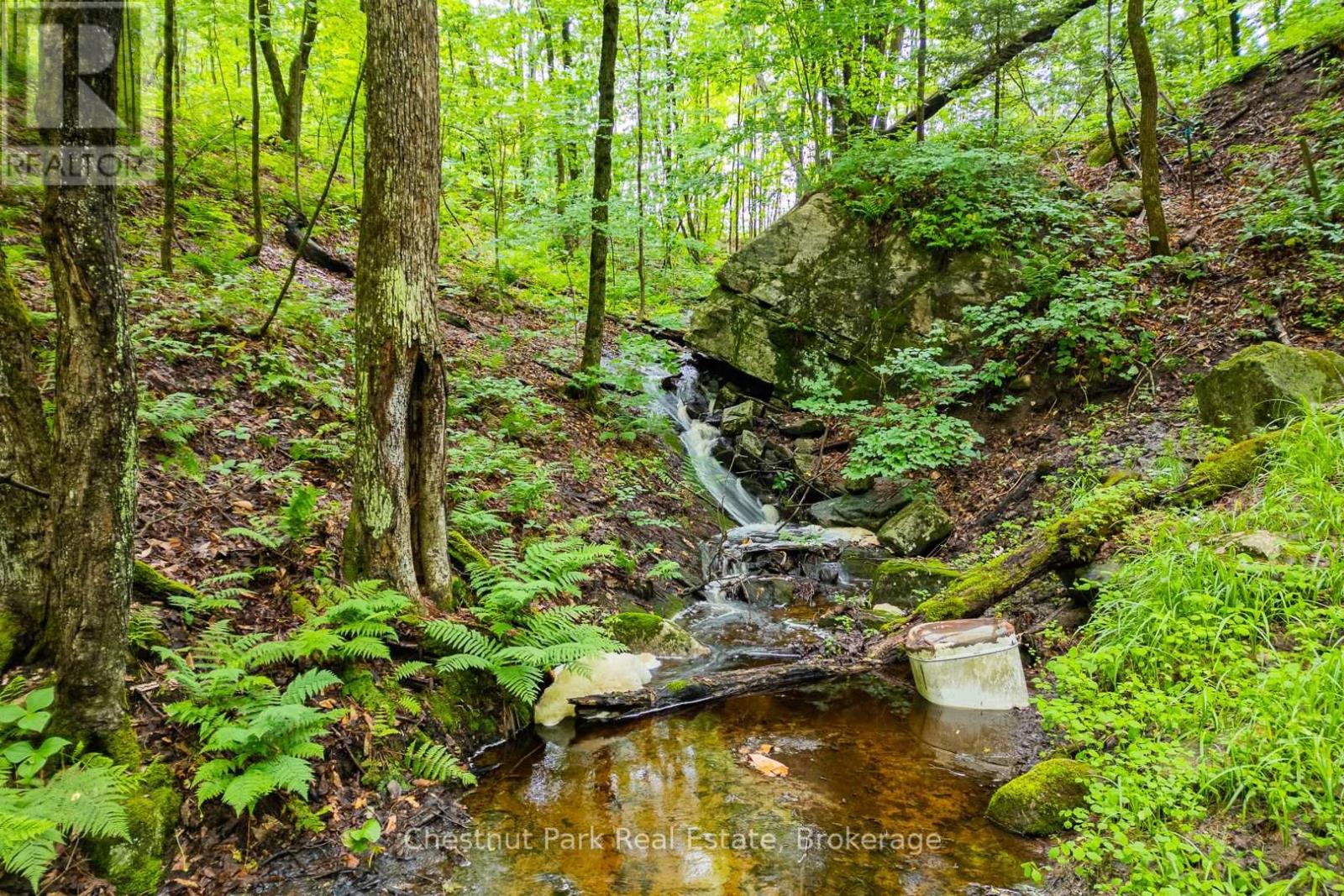 1037 Skeleton Lake 3 Road, Muskoka Lakes, Ontario  P0B 1M0 - Photo 30 - X12427195