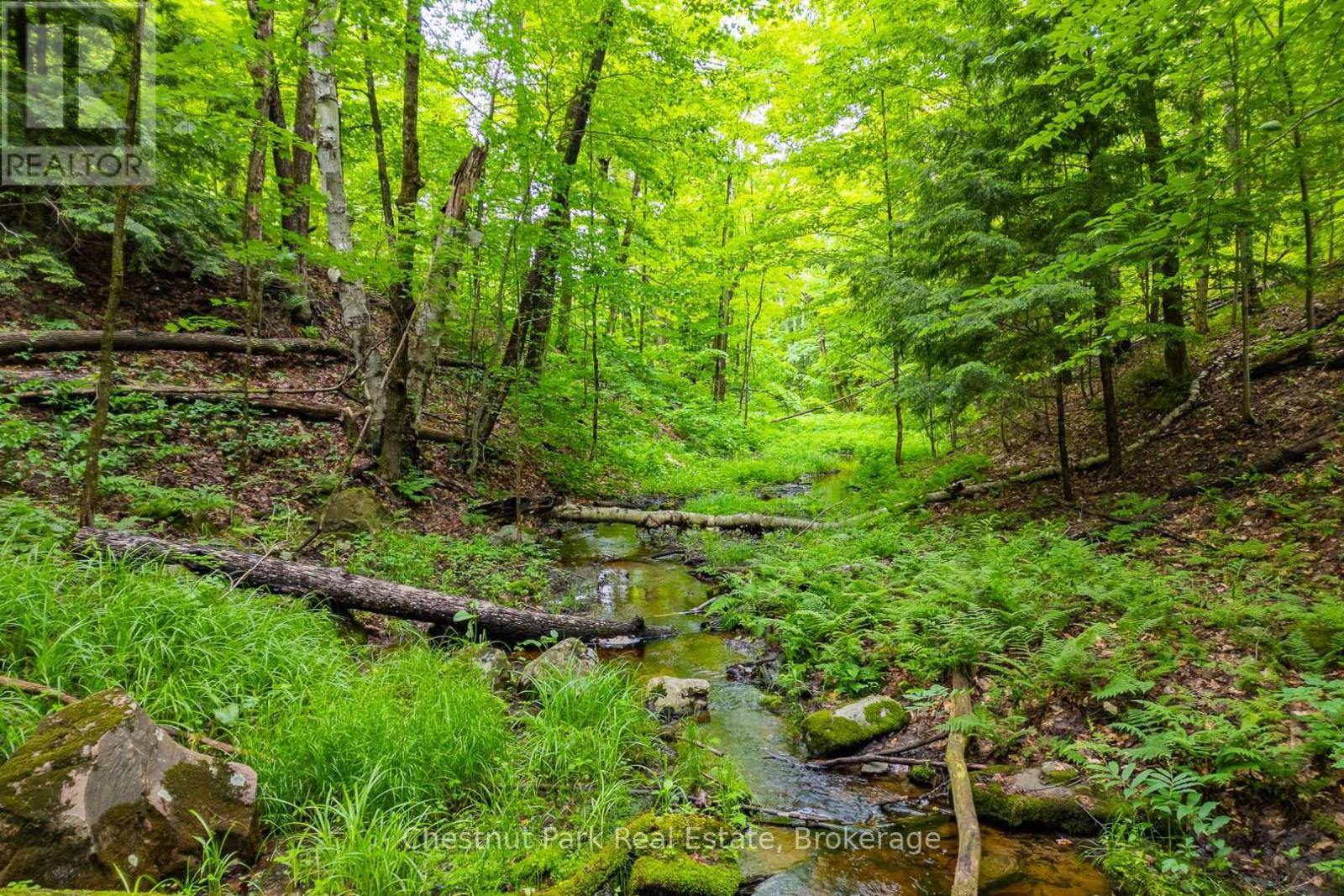 1037 Skeleton Lake 3 Road, Muskoka Lakes, Ontario  P0B 1M0 - Photo 31 - X12427195
