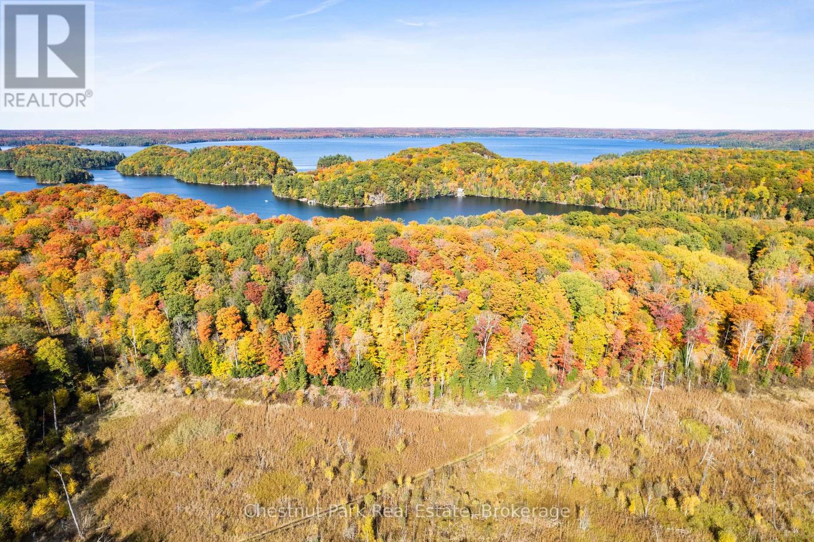 1037 Skeleton Lake 3 Road, Muskoka Lakes, Ontario  P0B 1M0 - Photo 32 - X12427195