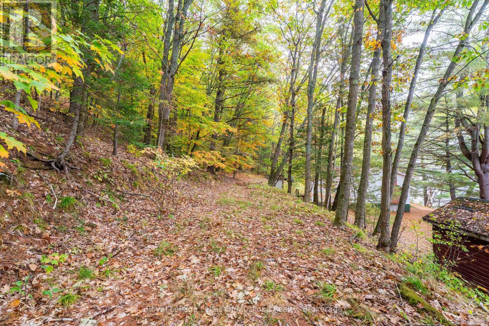 3384 South Portage Road, Huntsville, Ontario  P1H 2J3 - Photo 24 - X12428971