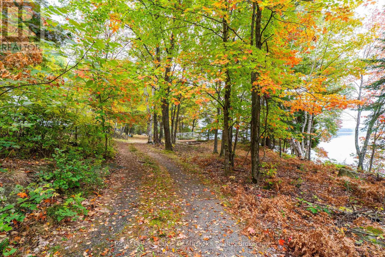 3384 South Portage Road, Huntsville, Ontario  P1H 2J3 - Photo 28 - X12428971