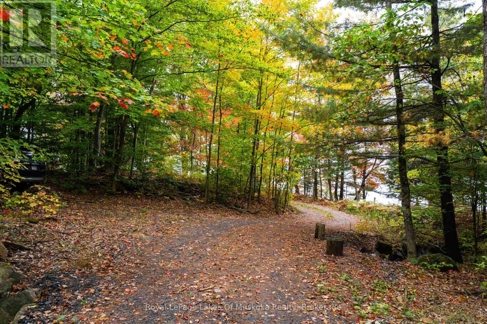 3384 South Portage Road, Huntsville, Ontario  P1H 2J3 - Photo 29 - X12428971