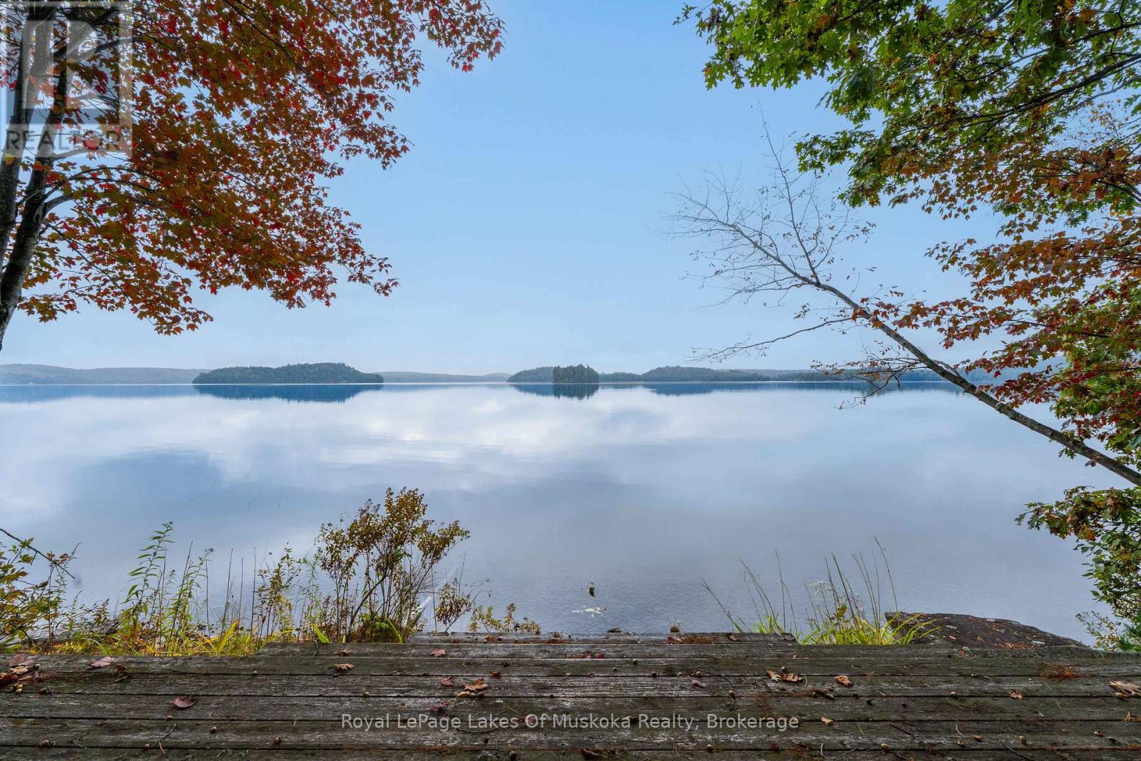 3384 South Portage Road, Huntsville, Ontario  P1H 2J3 - Photo 3 - X12428971