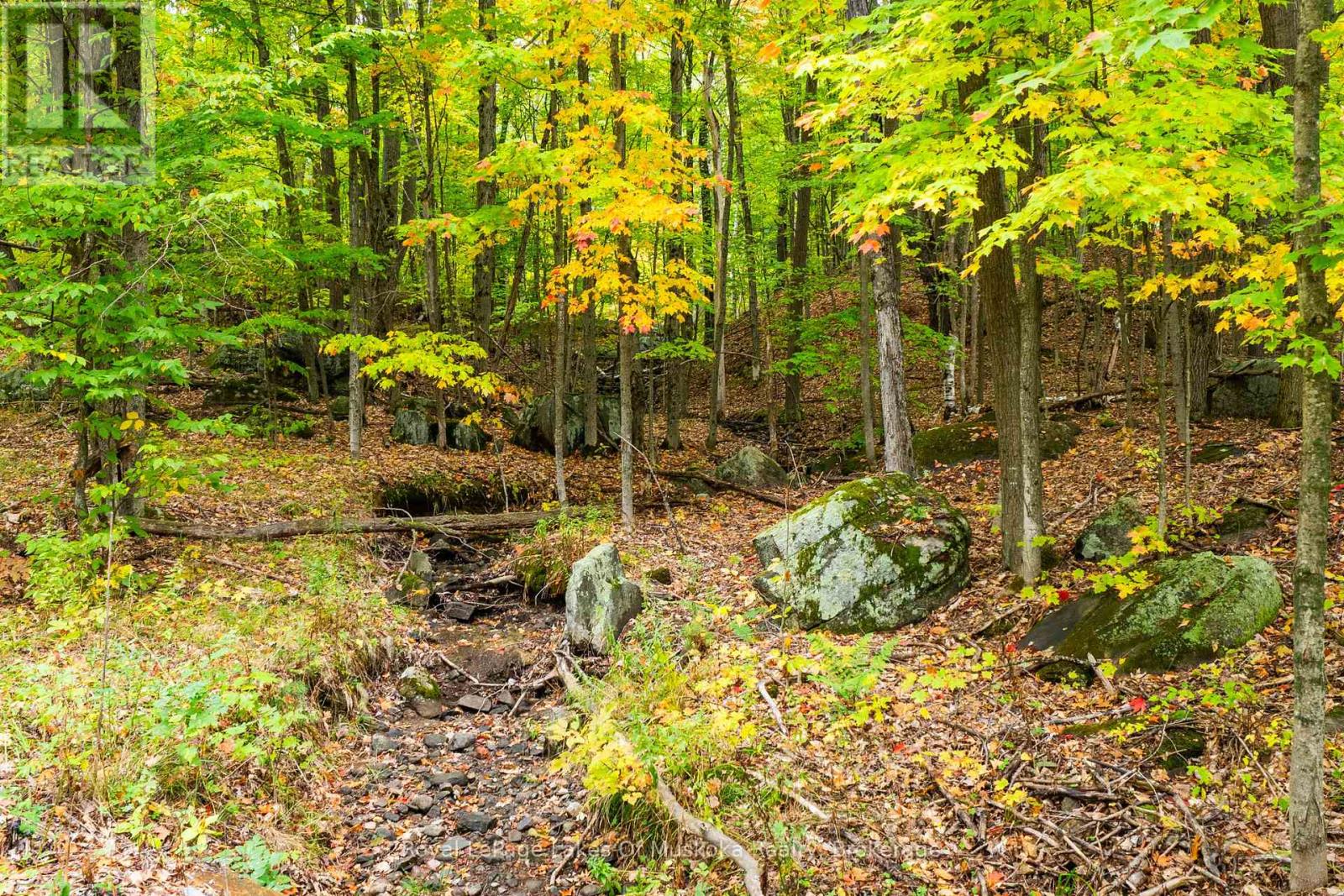 3384 South Portage Road, Huntsville, Ontario  P1H 2J3 - Photo 30 - X12428971