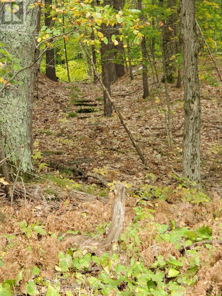 3384 South Portage Road, Huntsville, Ontario  P1H 2J3 - Photo 32 - X12428971