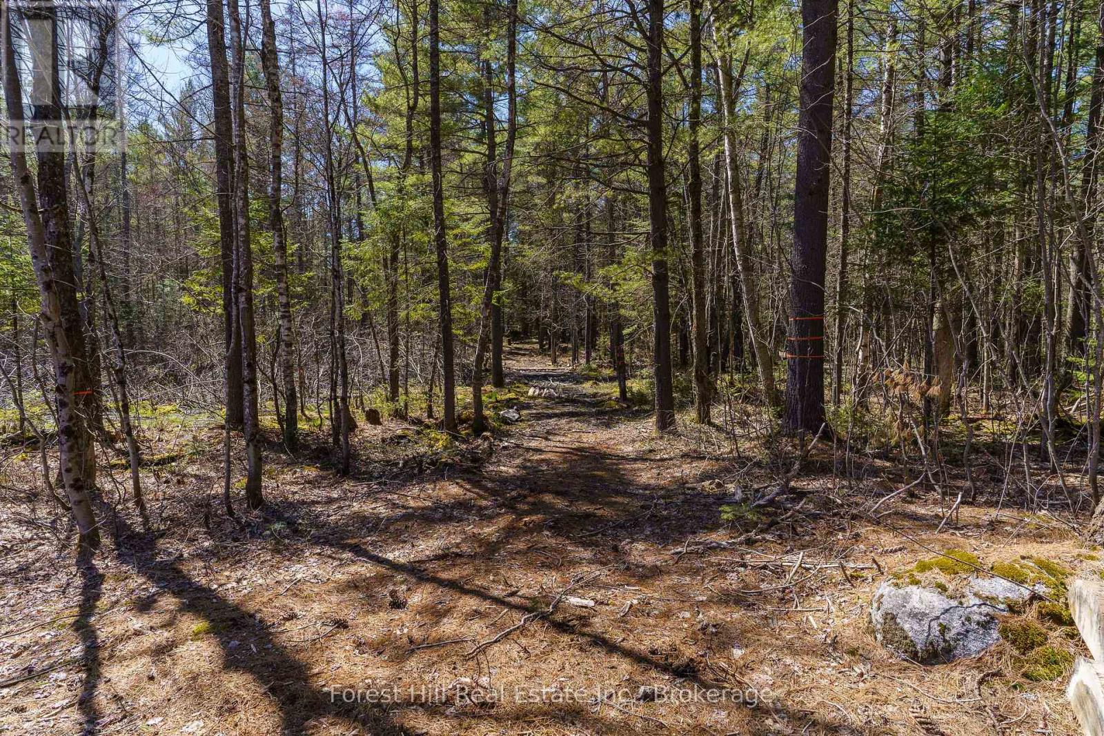 Lt32c9 Concession Line Concession, Lake Of Bays, Ontario  P0A 1B0 - Photo 13 - X12429830