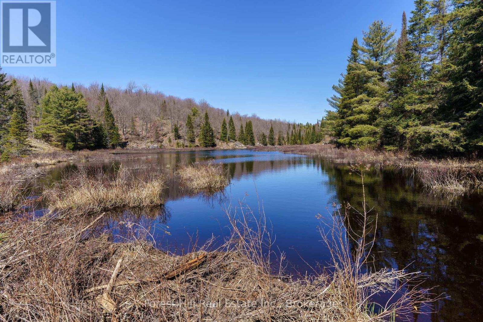 Lt32c9 Concession Line Concession, Lake Of Bays, Ontario  P0A 1B0 - Photo 17 - X12429830