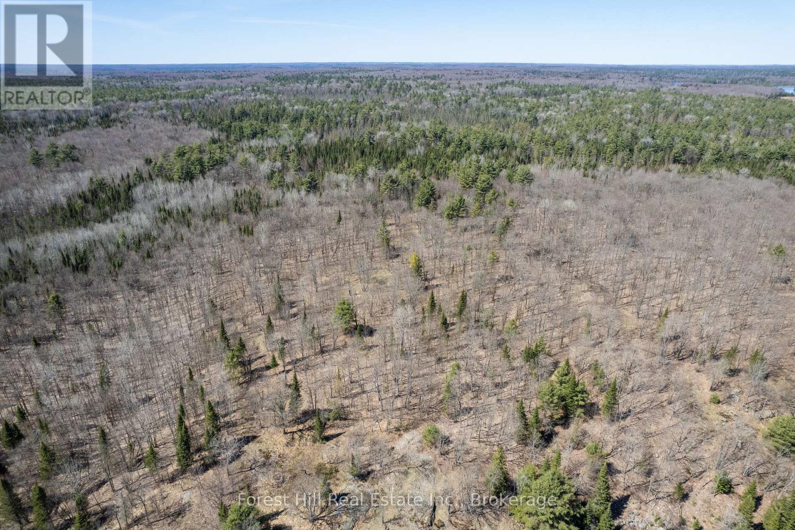 Lt32c9 Concession Line Concession, Lake Of Bays, Ontario  P0A 1B0 - Photo 23 - X12429830